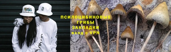 а пвп мука Белокуриха