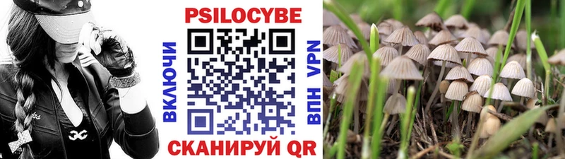 Псилоцибиновые грибы ЛСД  Невель 